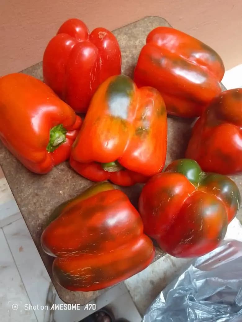Large red bell peppers close up